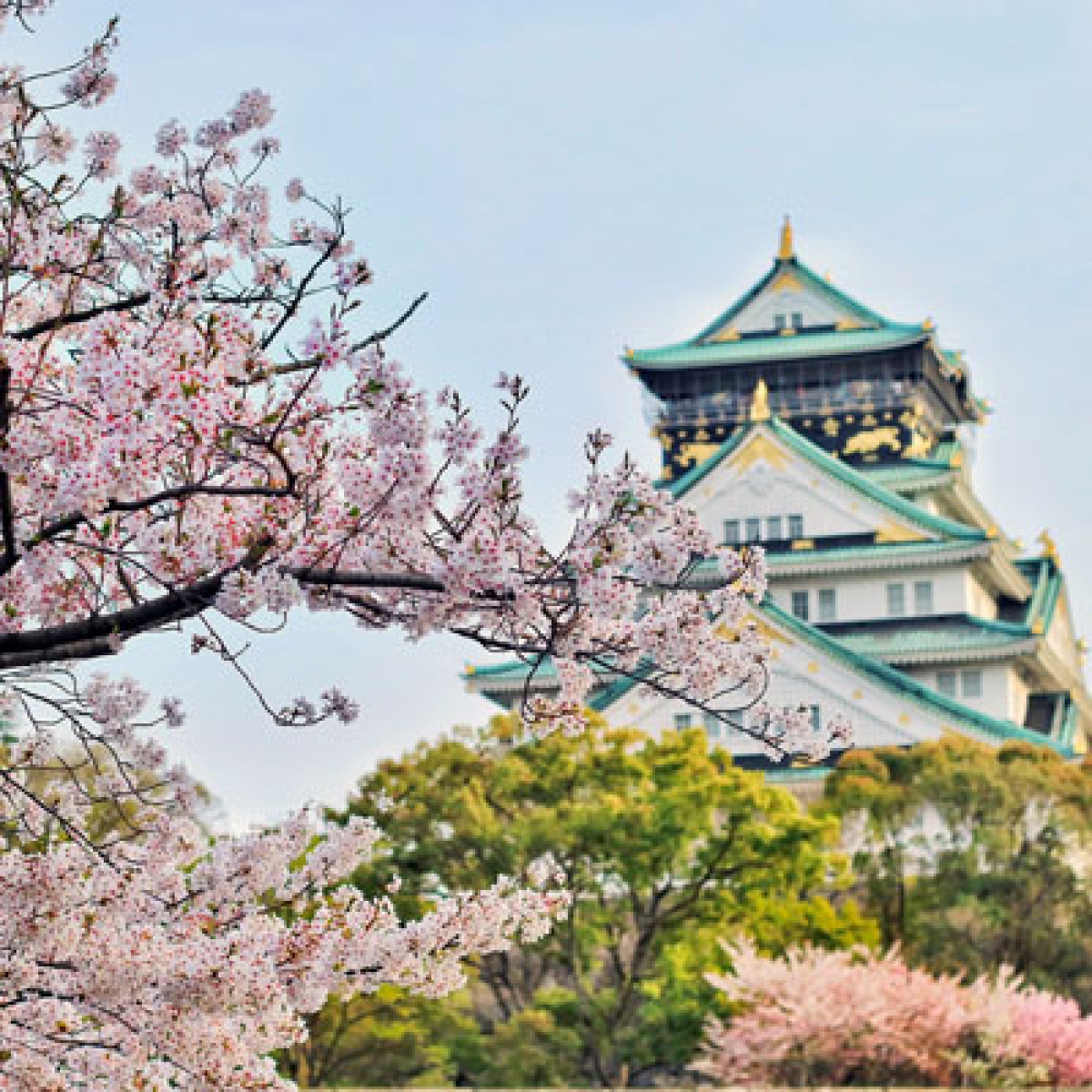 Vivre, étudier et travailler au Japon